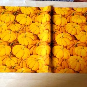 Set of 10 Pumpkin Mailers
